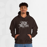 Seek Truth Find Jesus - Hoodie