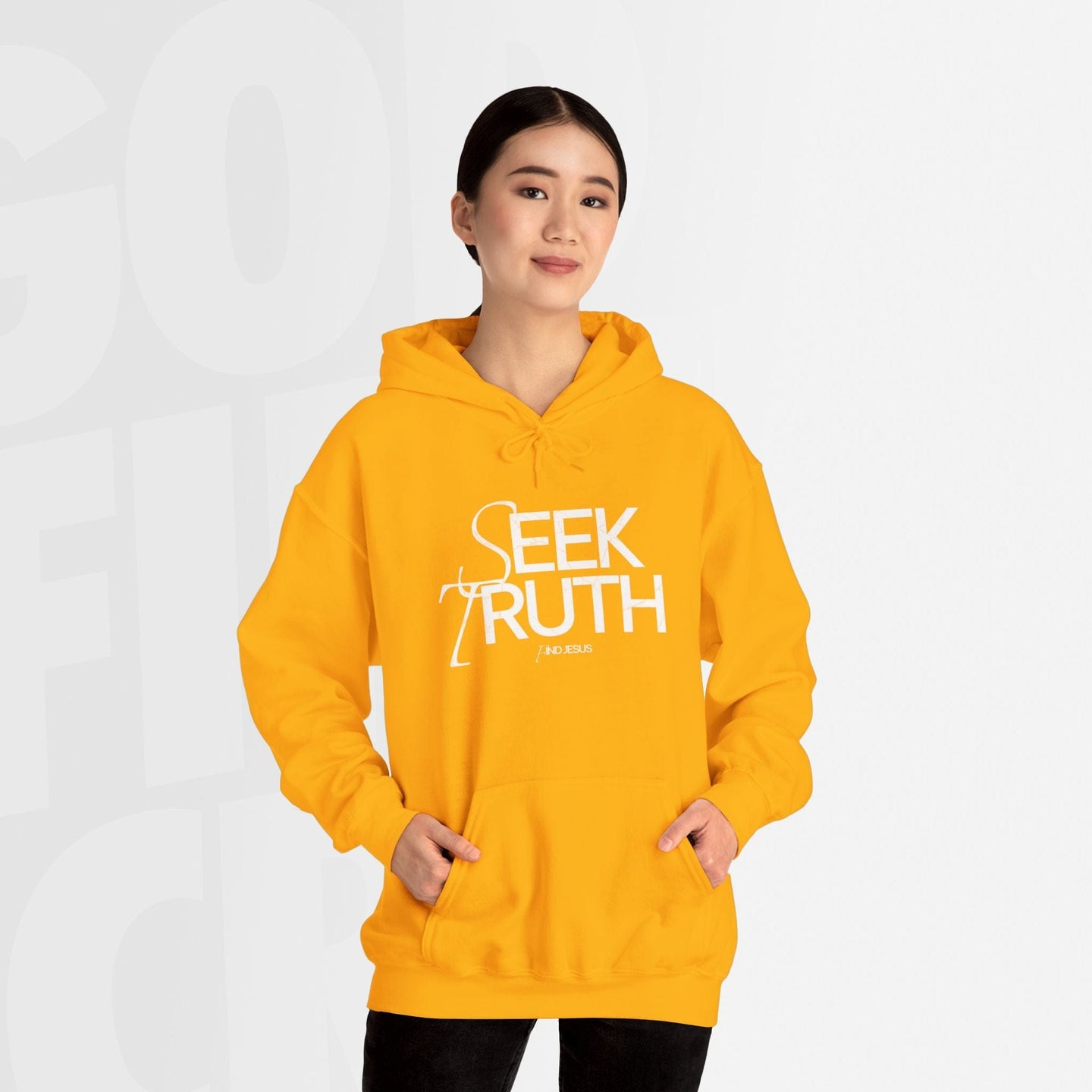 Seek Truth Find Jesus - Hoodie