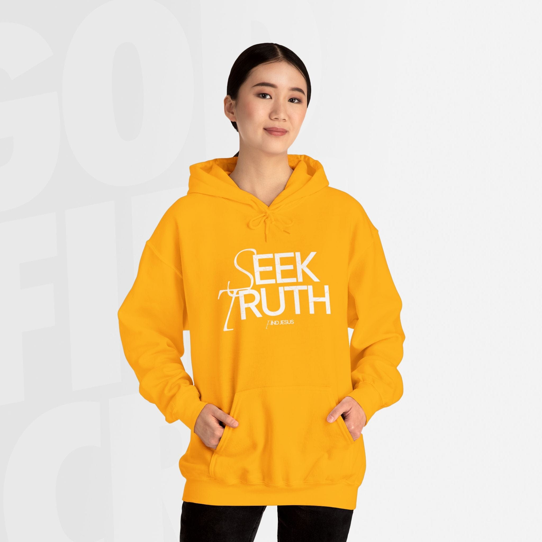 Seek Truth Find Jesus - Hoodie