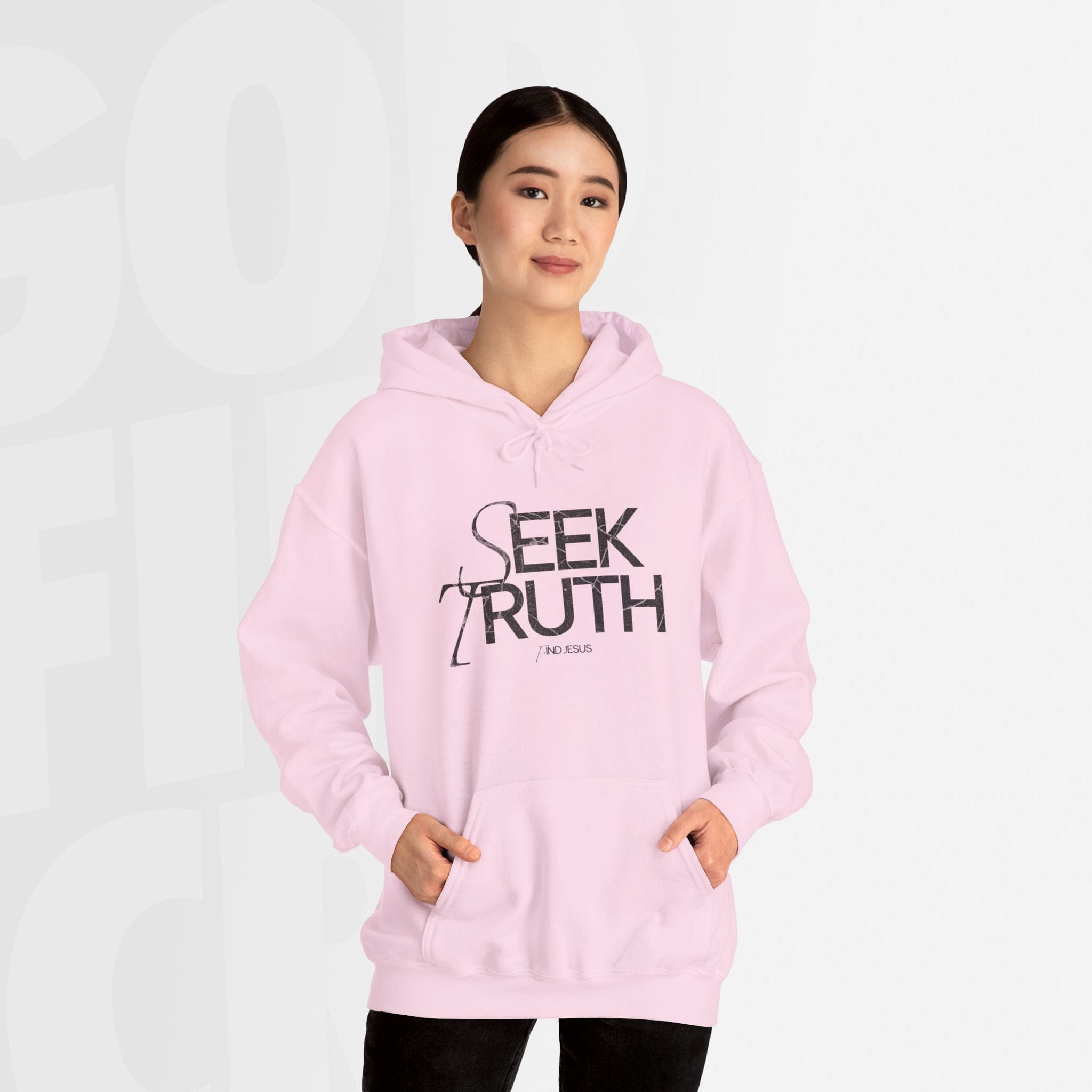 Seek Truth Find Jesus - Hoodie
